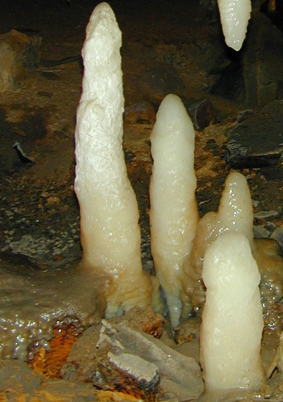 This is a stalagmite. It grows up from the floor.
