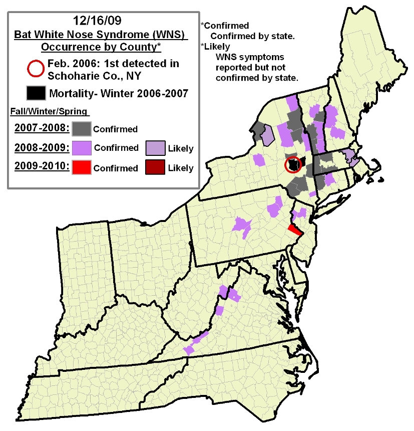 Map of areas affected by White Nose Syndrome